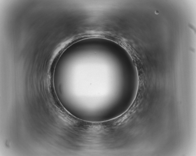 X0000099400342200805081539