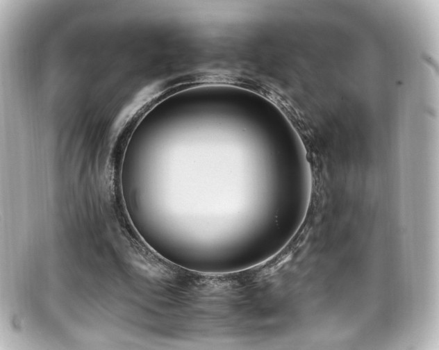 X0000099400343200805081539
