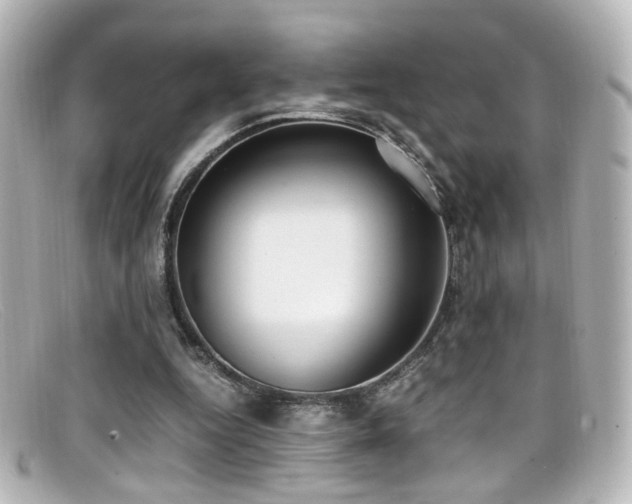 X0000099400344200805081539