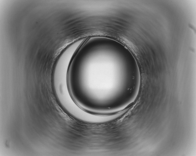 X0000099400345200805081539