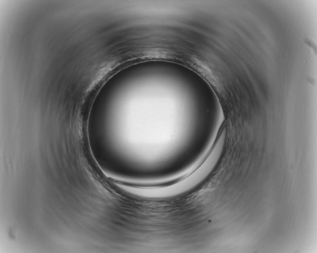 X0000099400347200805081539