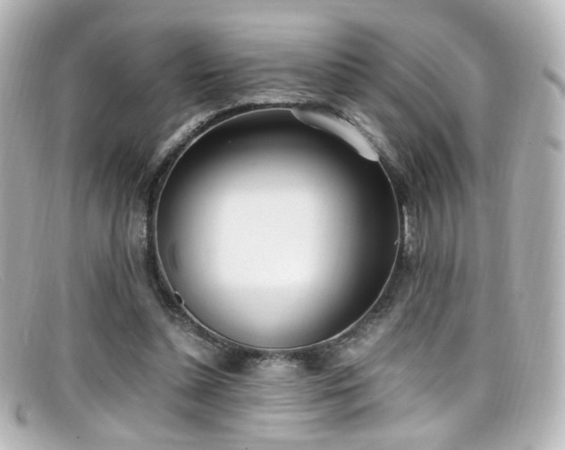X0000099400348200805081539
