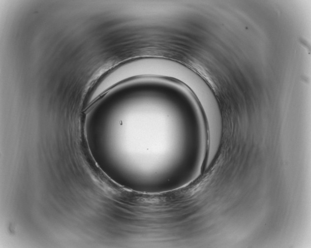 X0000099400349200805081539