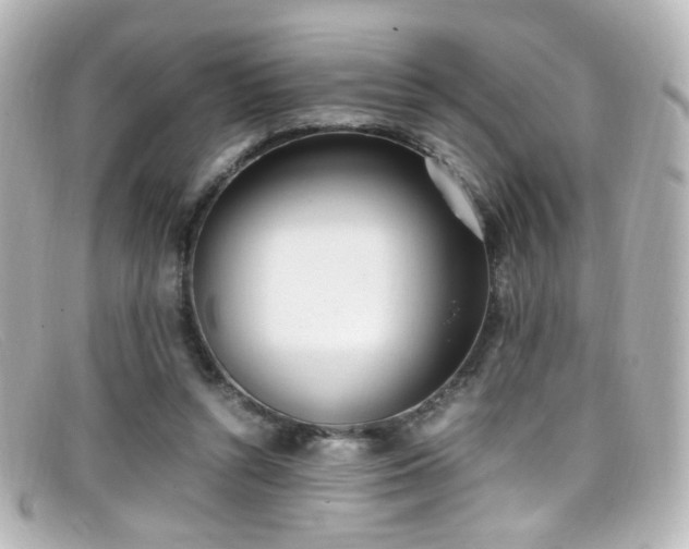 X0000099400352200805081539