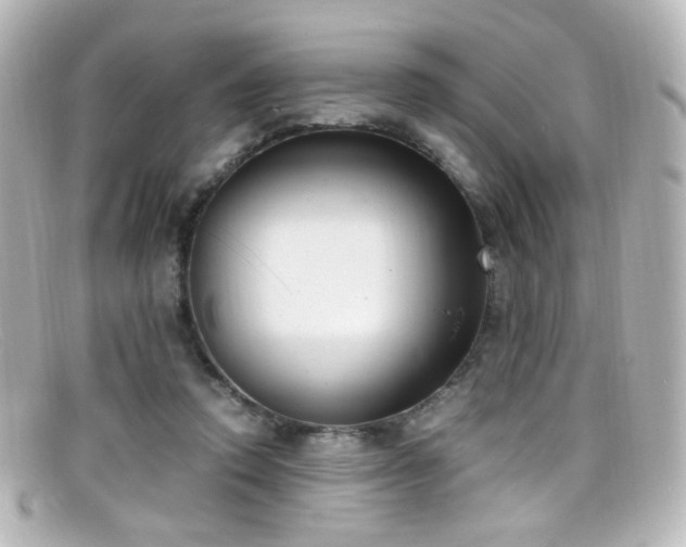 X0000099400354200805081539