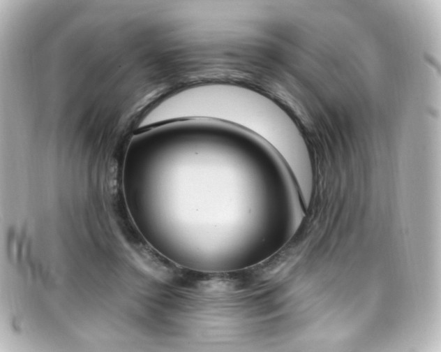 X0000099400356200805081539