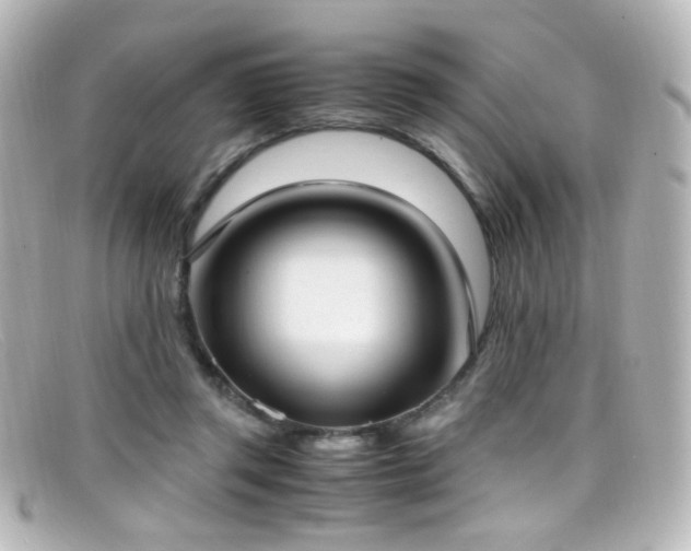 X0000099400357200805081539