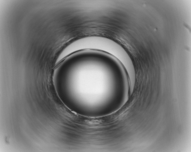 X0000099400359200805081539
