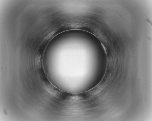 X0000099400360200805081539