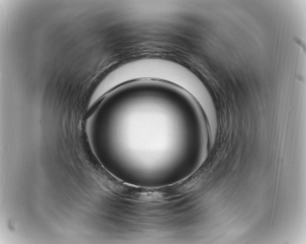 X0000099400363200805081539