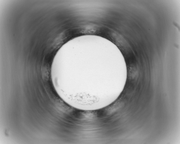 X0000099400370200805081540