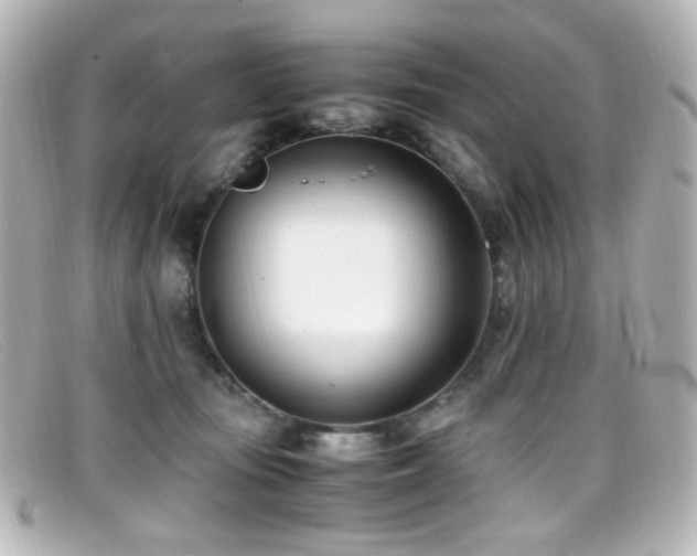 X0000099400371200805081540