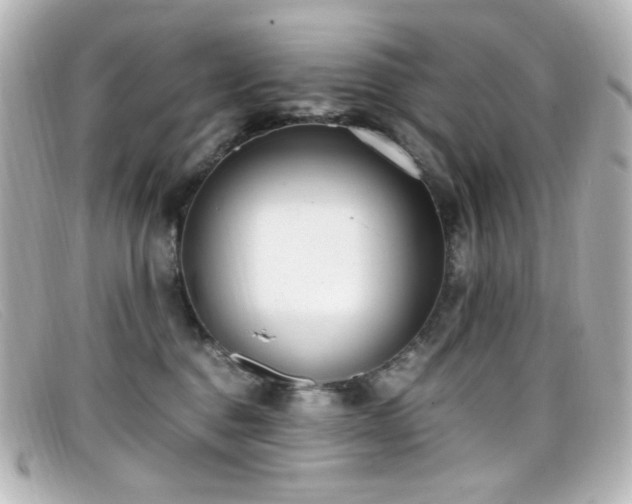 X0000099400376200805081540