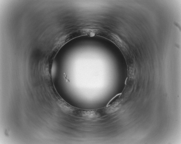X0000099400377200805081540