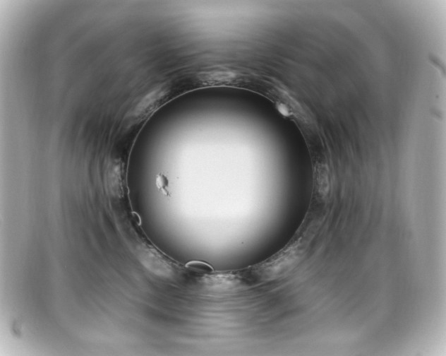 X0000099400378200805081540