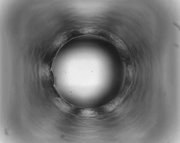X0000099400380200805081540
