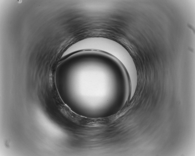X0000099400381200805081540