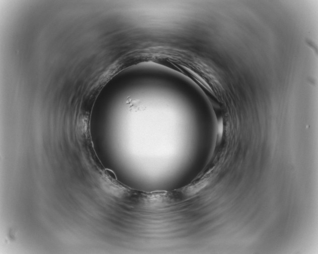 X0000099400382200805081540