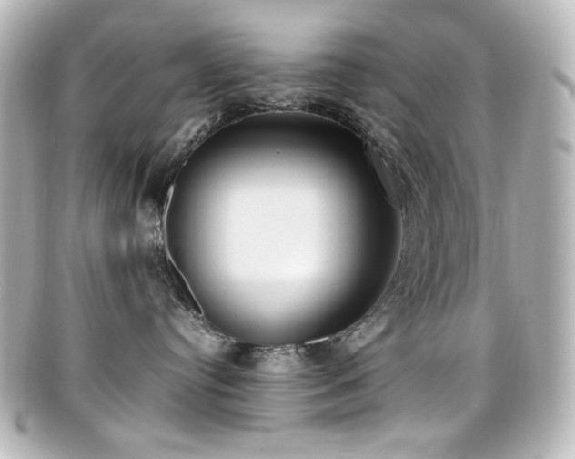X0000099400384200805081540