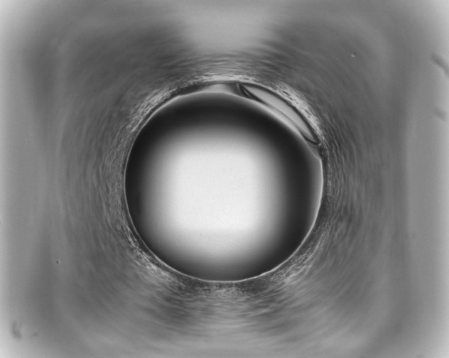 X0000099400385200805081539