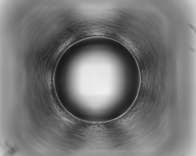 X0000099400386200805081539