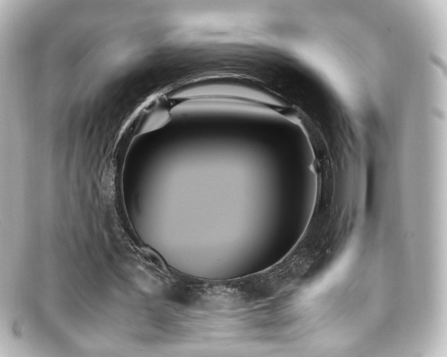 X0000099400387200805081539