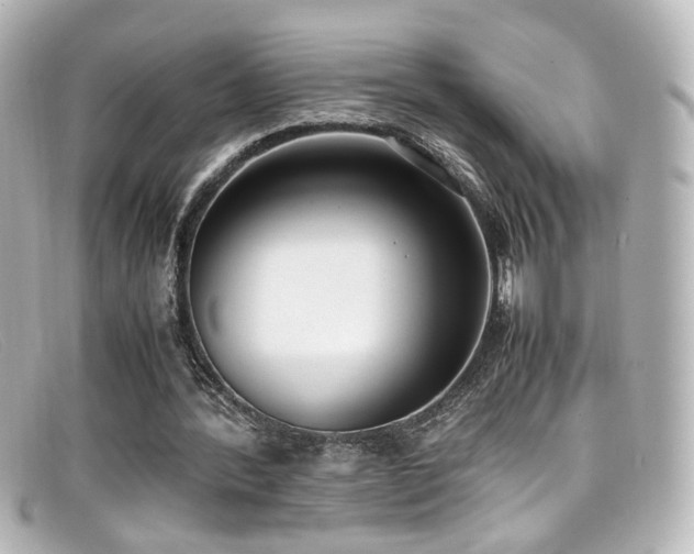X0000099400388200805081539