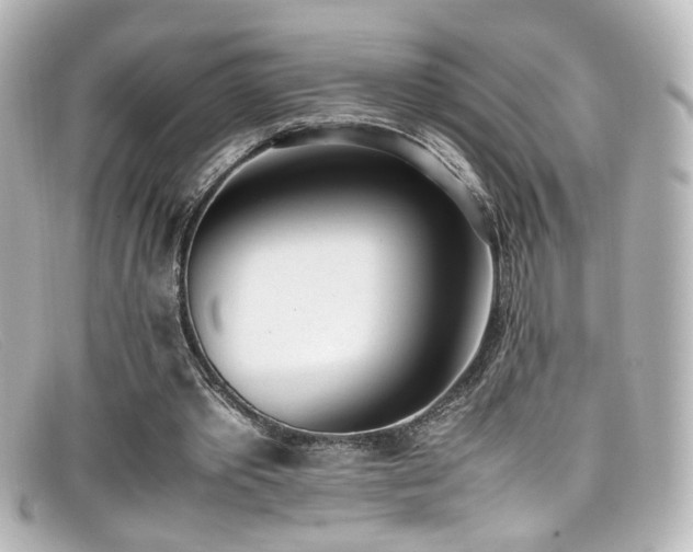 X0000099400389200805081539