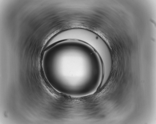 X0000099400390200805081539