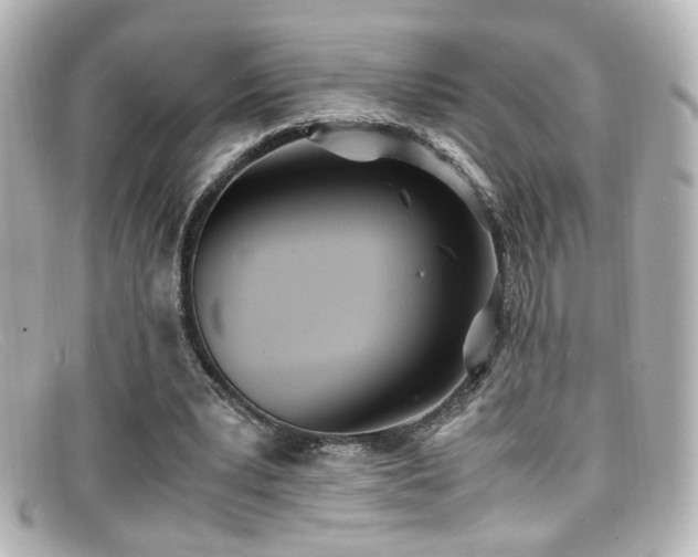 X0000099400391200805081539