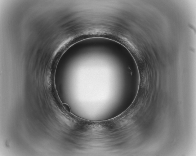 X0000099400392200805081539