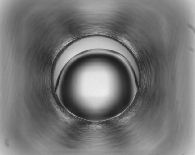 X0000099400394200805081539