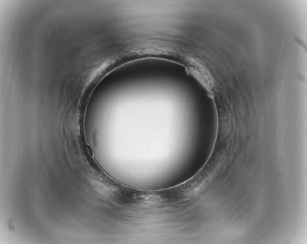 X0000099400395200805081539