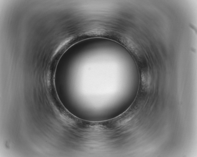 X0000099400396200805081539