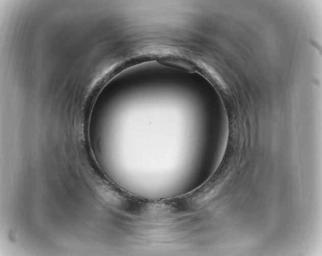 X0000099400399200805081539