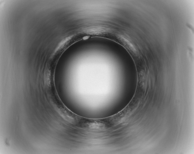 X0000099400400200805081539