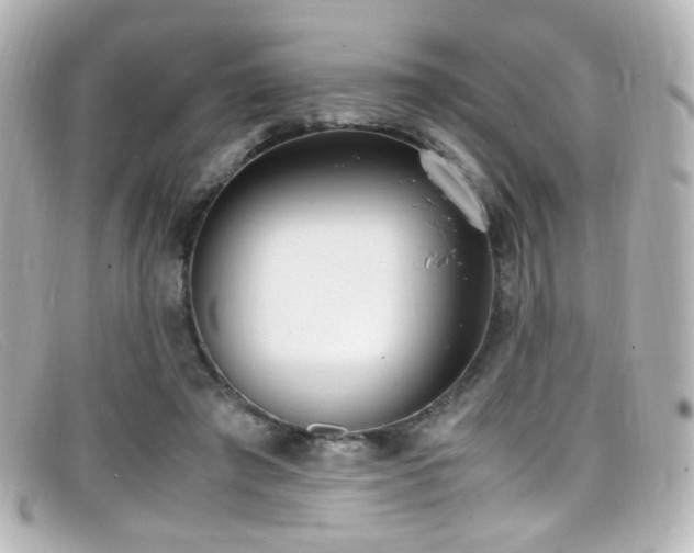 X0000099400401200805081539