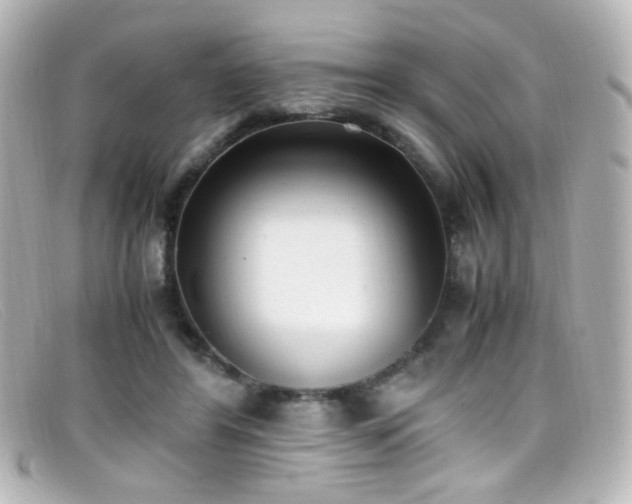 X0000099400404200805081539