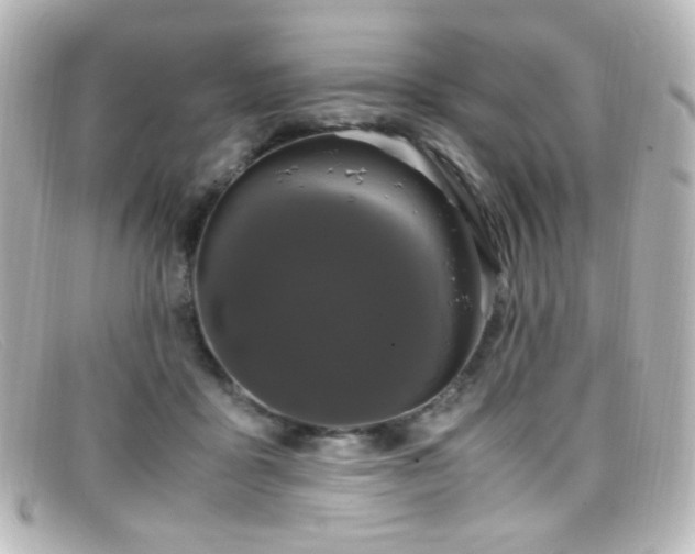 X0000099400411200805081539