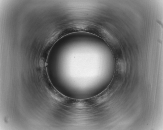 X0000099400412200805081539