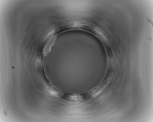 X0000099400415200805081539