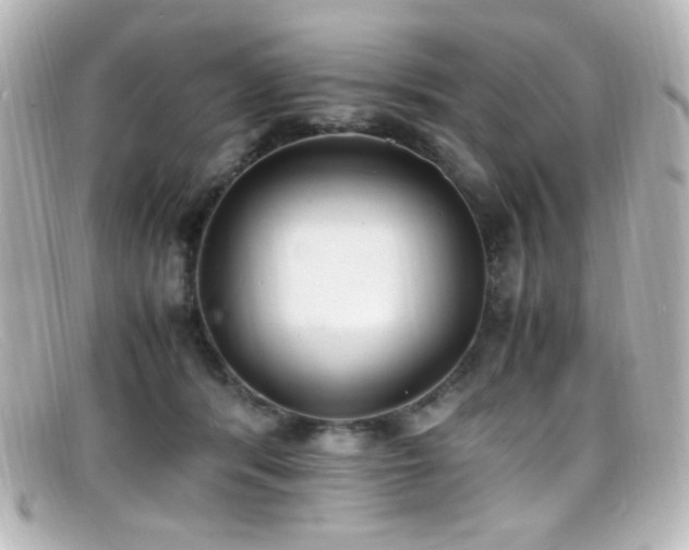 X0000099400416200805081539