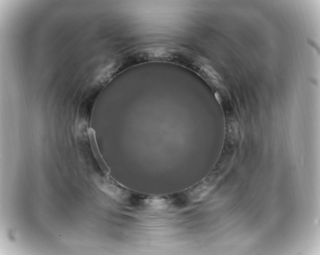 X0000099400419200805081539