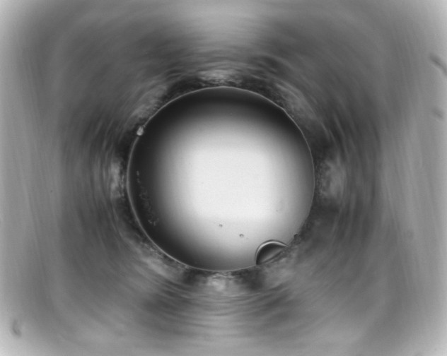 X0000099400420200805081539