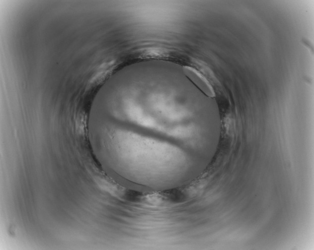 X0000099400423200805081539
