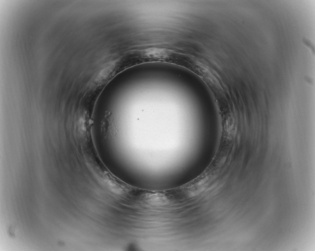 X0000099400424200805081539