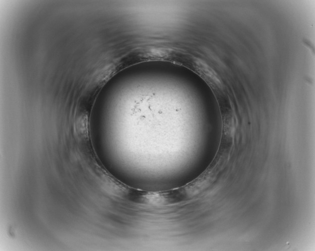 X0000099400425200805081538
