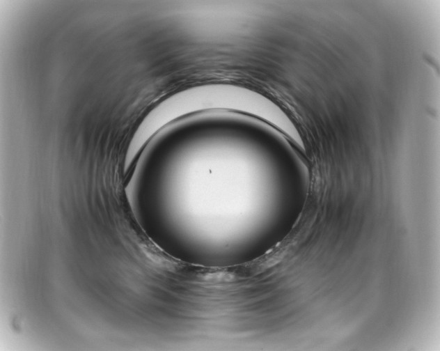X0000099400426200805081538