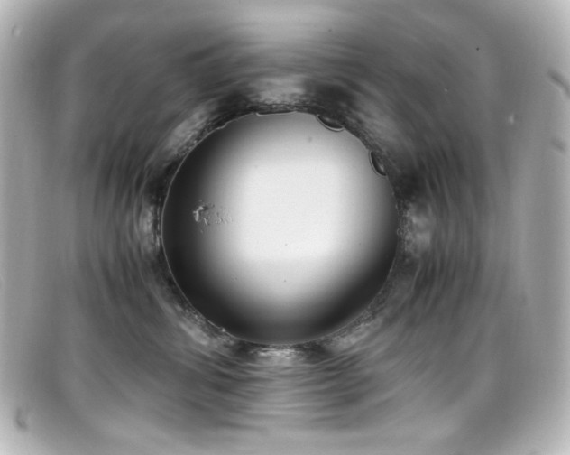 X0000099400428200805081538