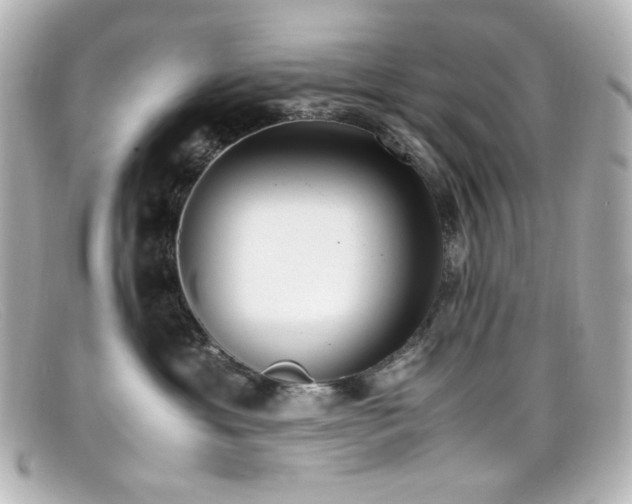 X0000099400429200805081538